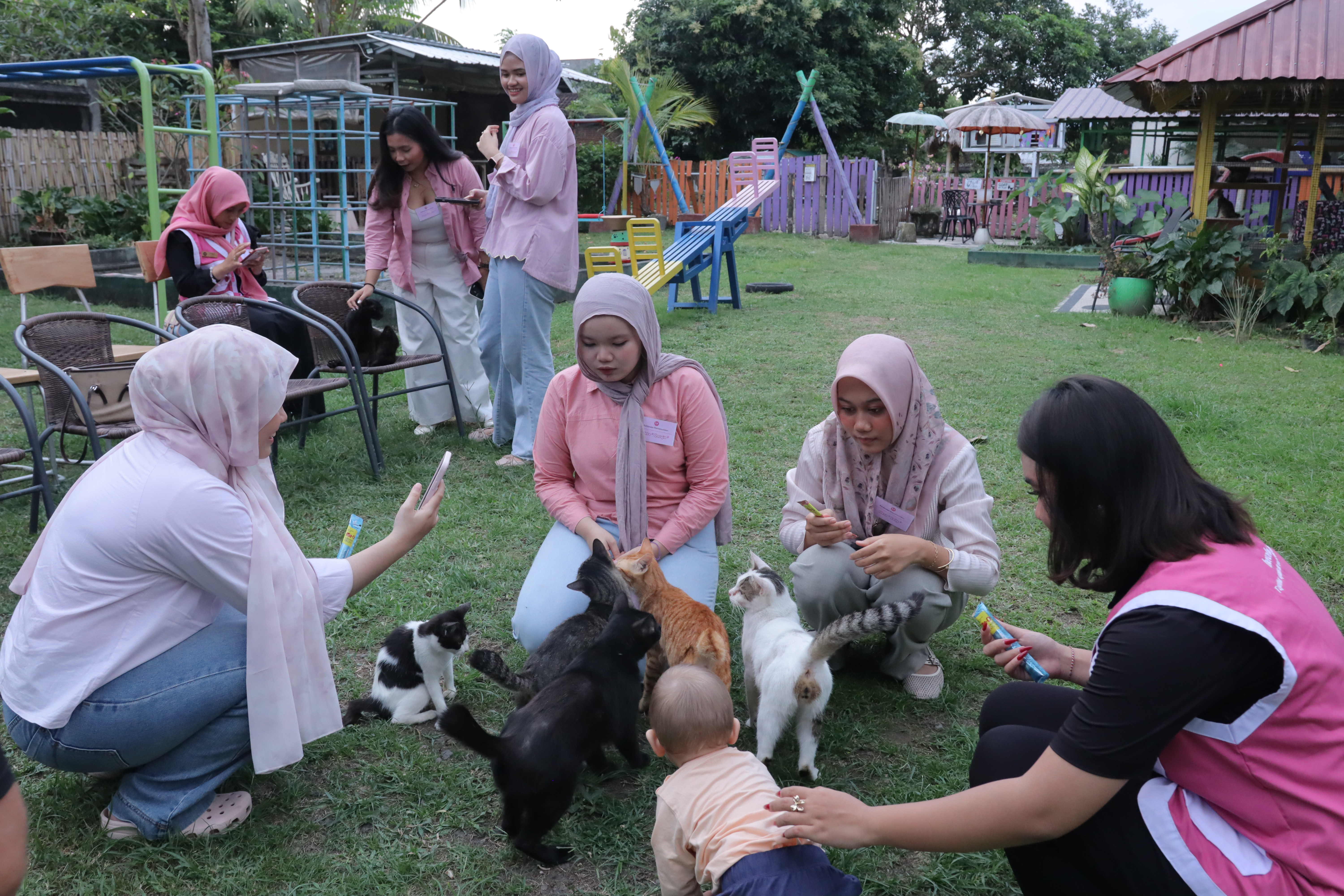 Paws Of Hope : Harapan bagi Sahabat Berbulu