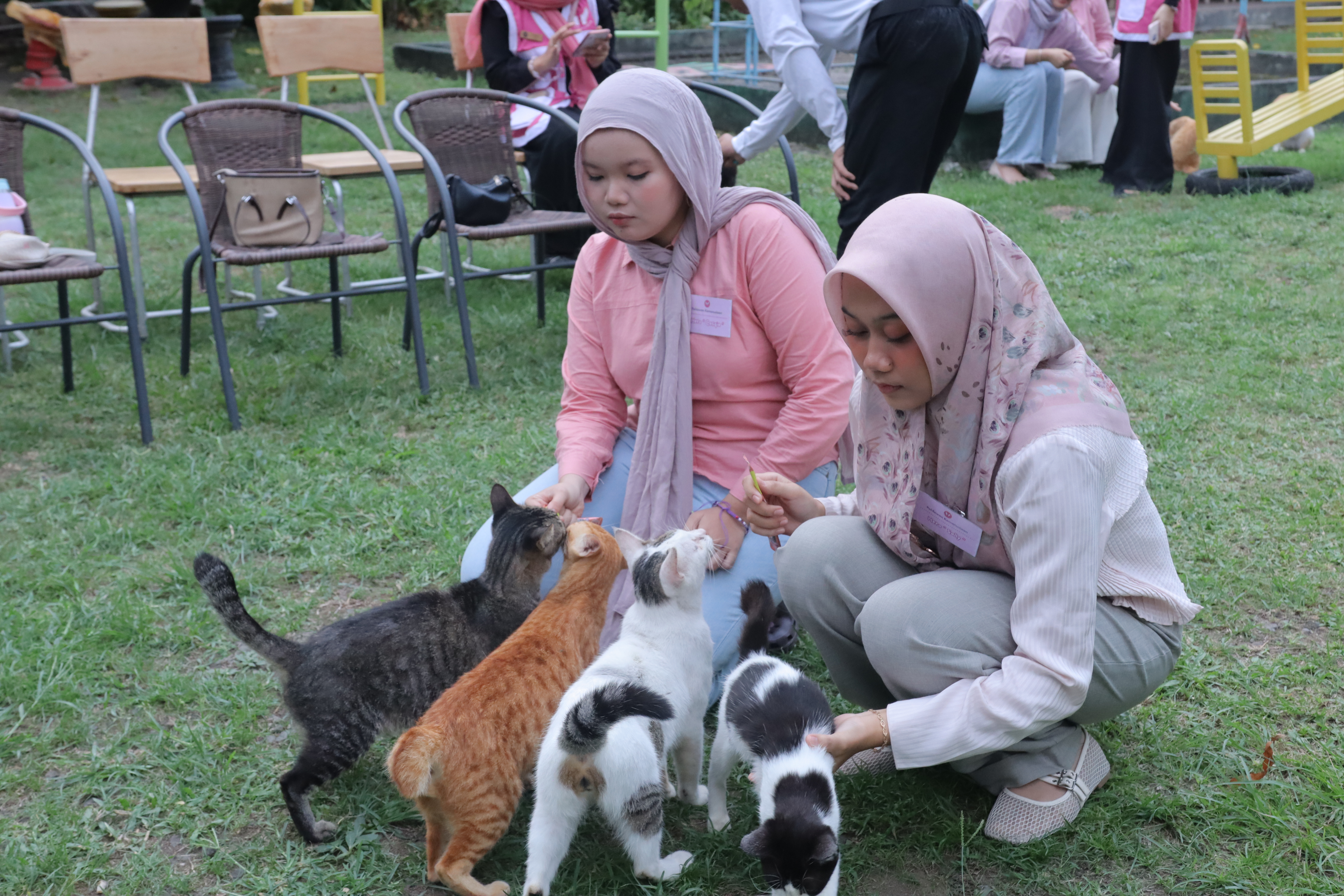 Paws Of Hope : Harapan bagi Sahabat Berbulu